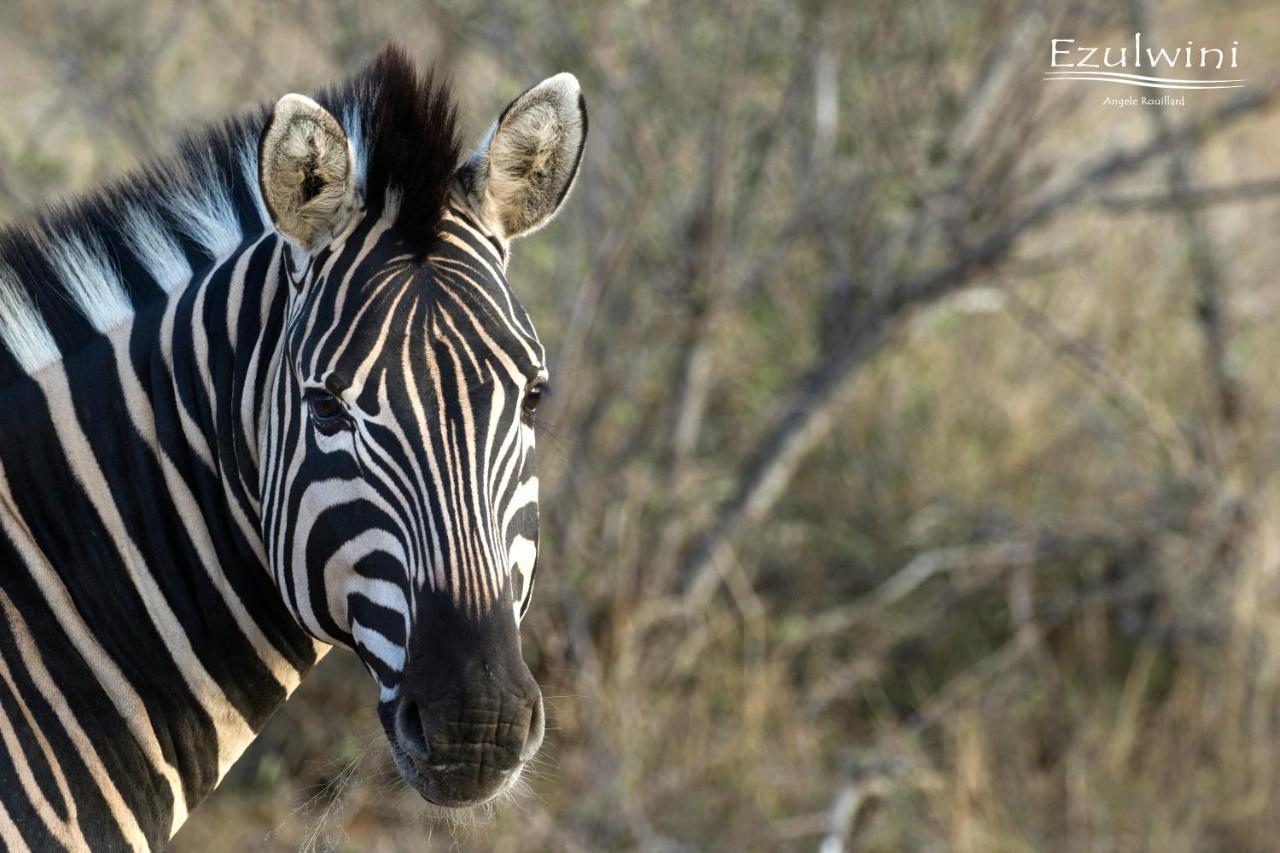 Ezulwini Game Lodges Mica Buitenkant foto