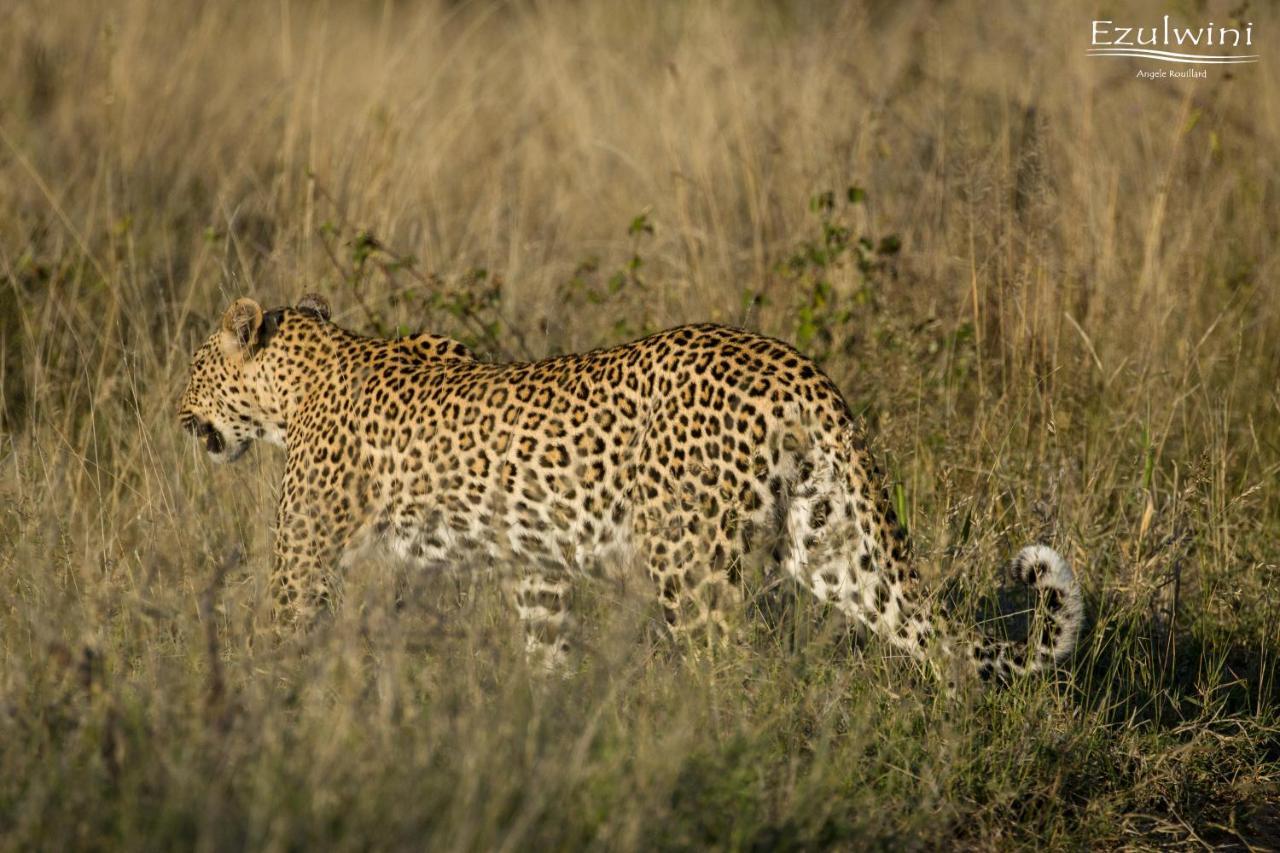 Ezulwini Game Lodges Mica Buitenkant foto